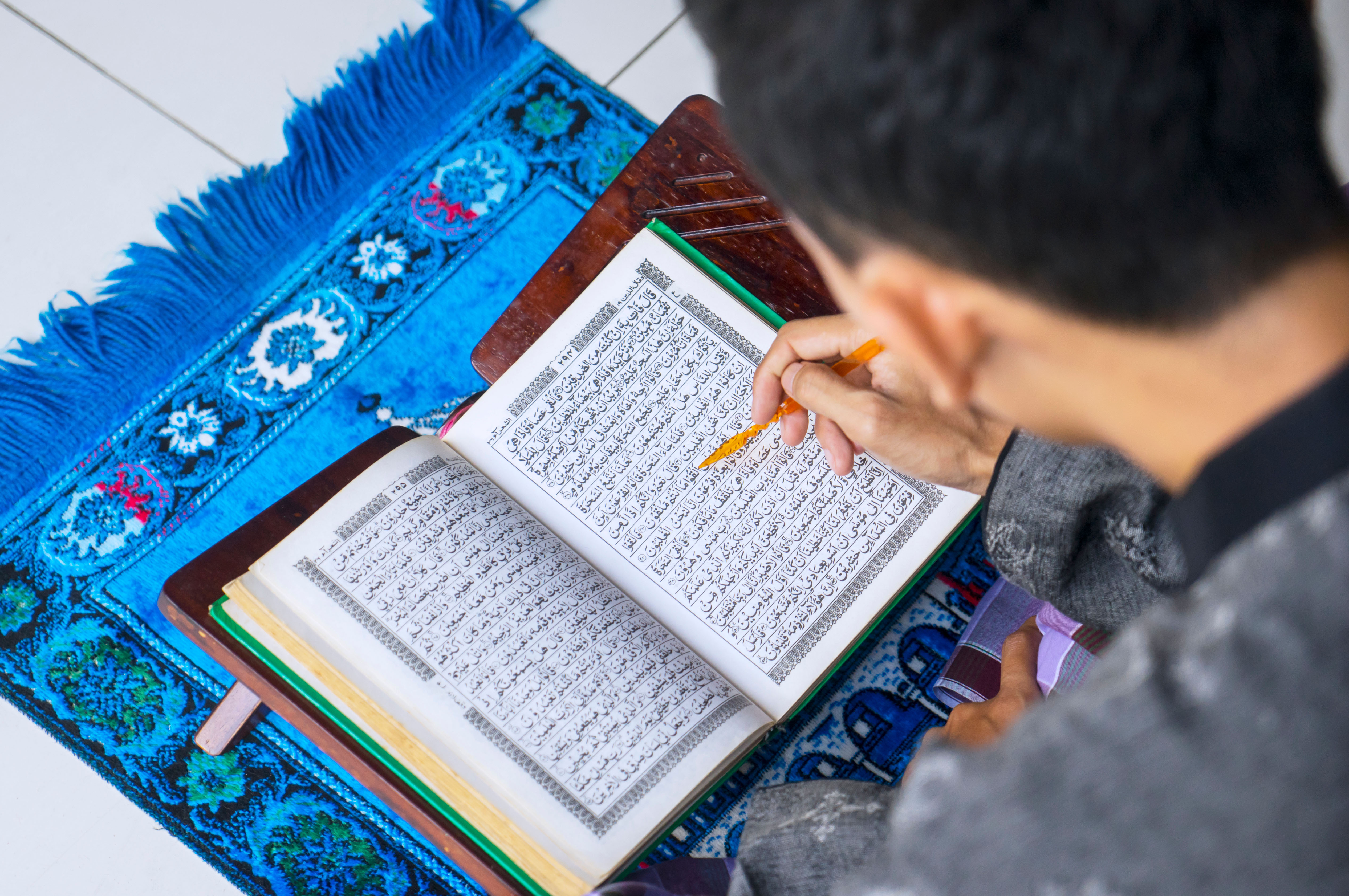 okuyun, yükselin ve yükselin